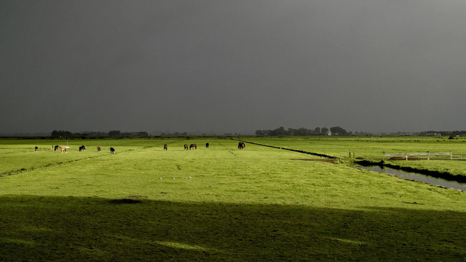 Zomerse regen in fel zonlicht (archiefbeeld, ter illustratie)