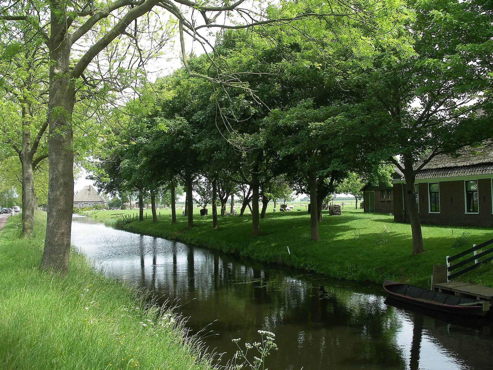Een Nederlands polderlandschap (ter illustratie)