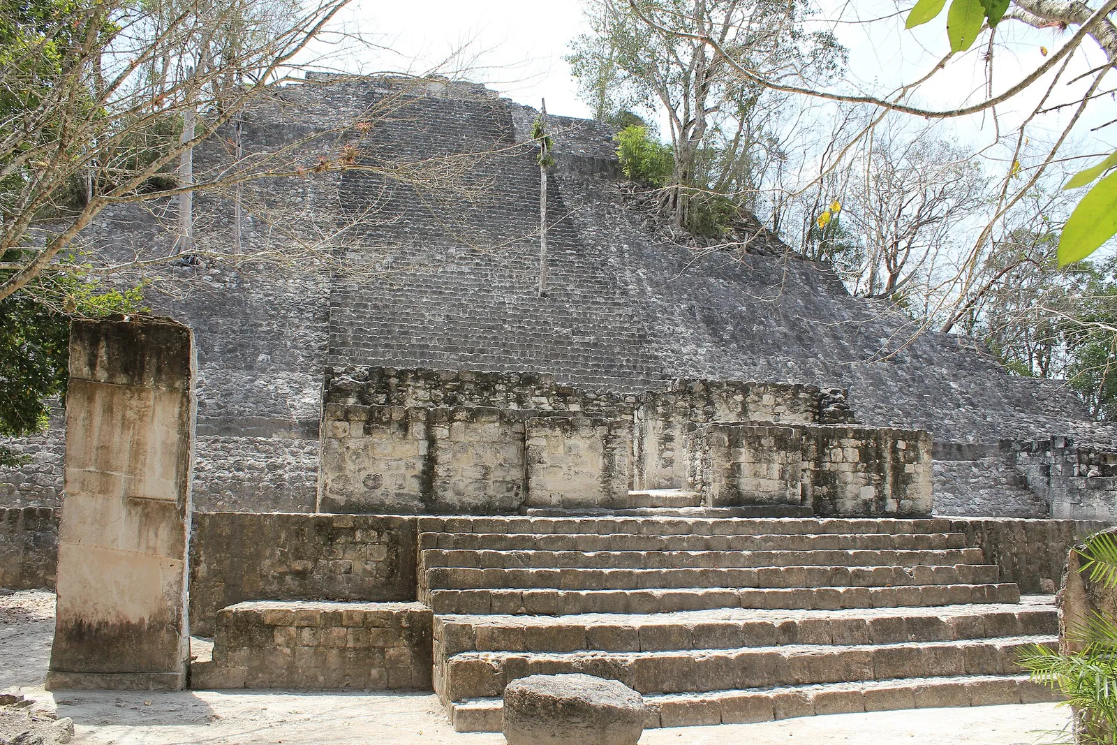 Een Mayapiramide in de Calakmul-biosfeerreserve in Campeche, Mexico (ter illustratie)