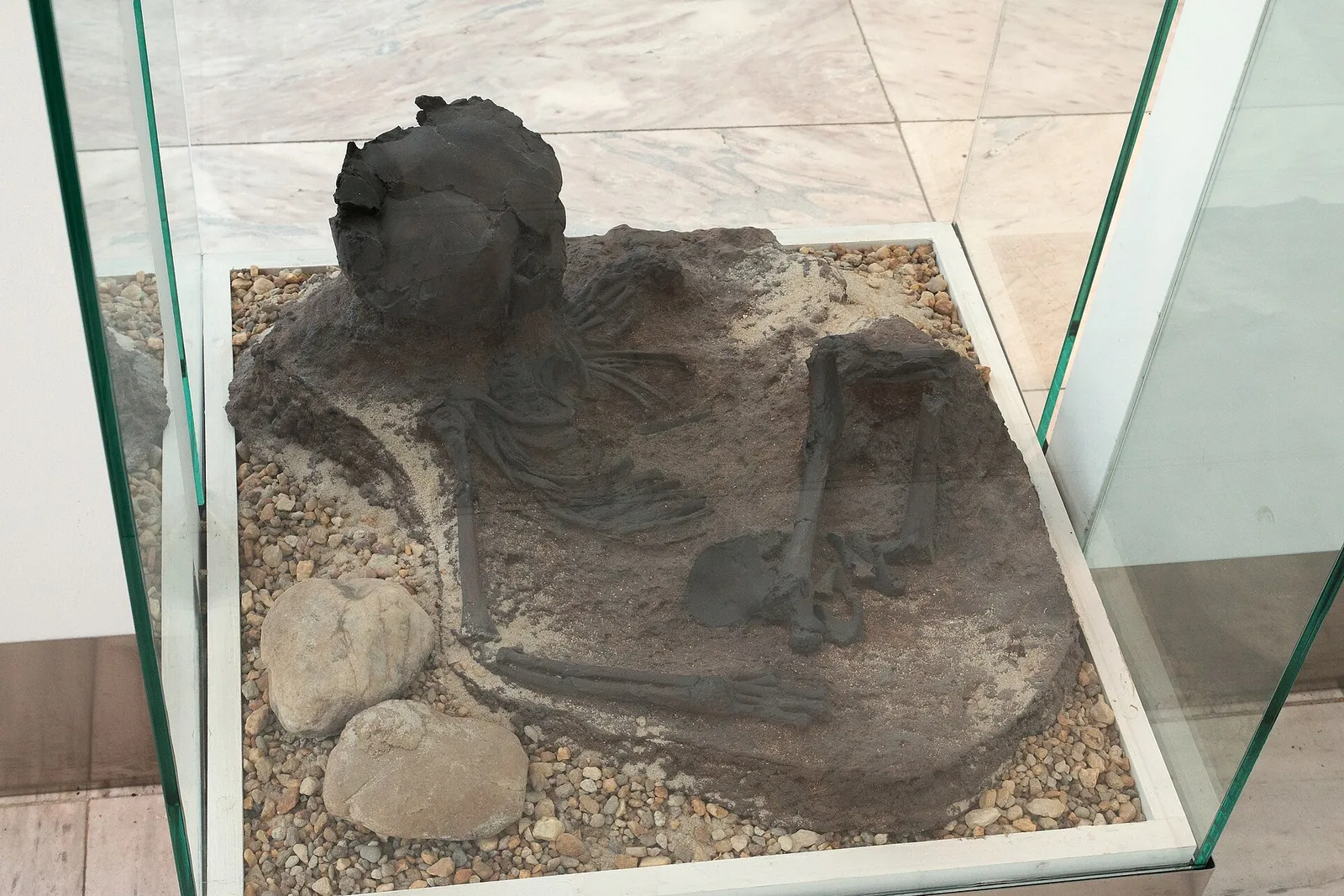 Afgietsel van een begraving uit de Qafzeh-grot, tentoongesteld in Brno (archiefbeeld)