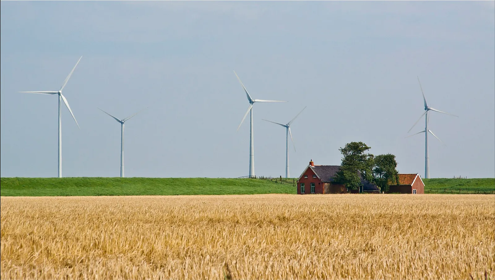 Windturbines in een landelijk gebied (archiefbeeld)