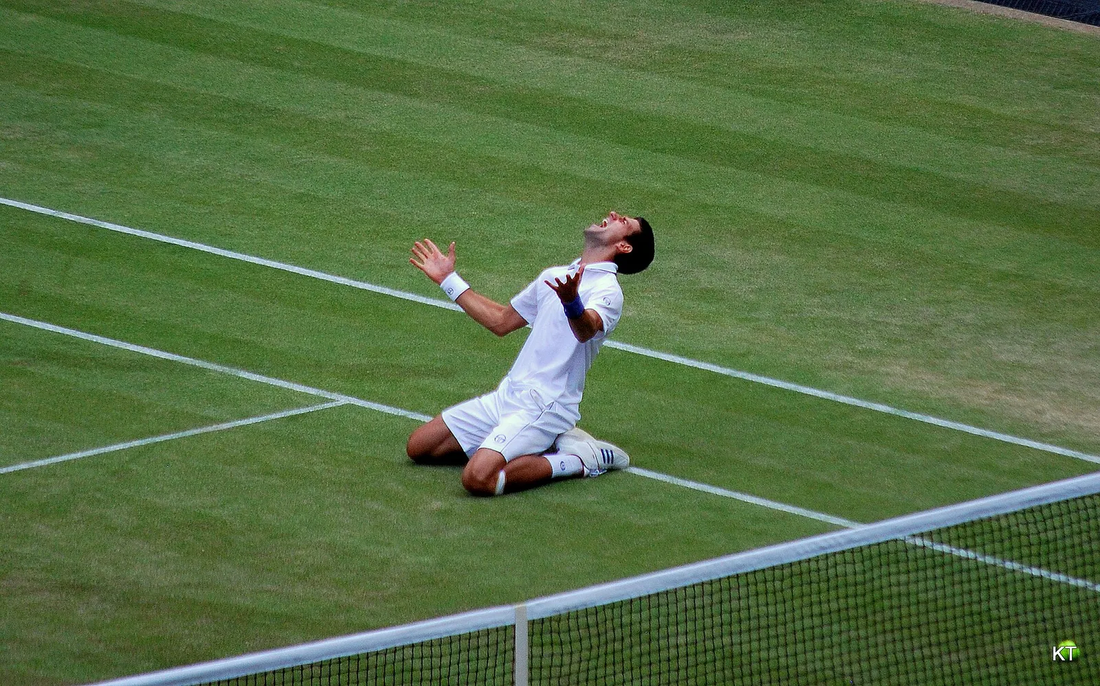 Novak Djokovic viert een zege op Wimbledon (archiefbeeld)