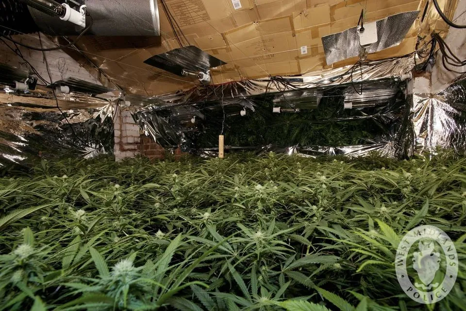 In beslag genomen drugs (ter illustratie)