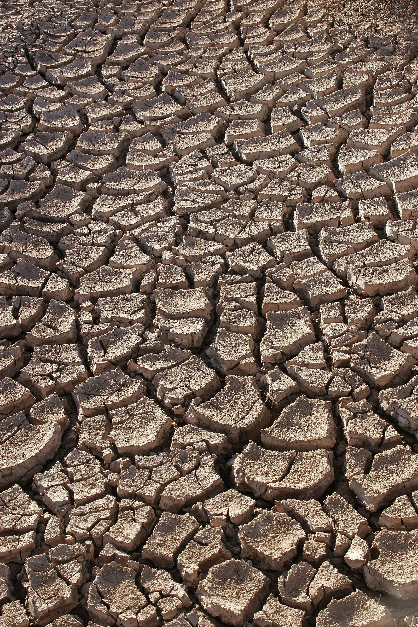Uitgedroogde, gebarsten bodem tijdens droogte (archiefbeeld)
