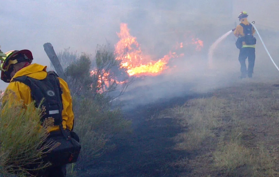 Brandweerlieden bij een bosbrand (ter illustratie)