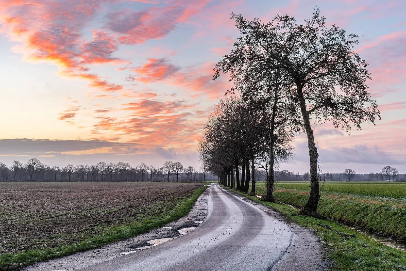 Een weiland met rijp bij zonsopkomst (archiefbeeld, ter illustratie)