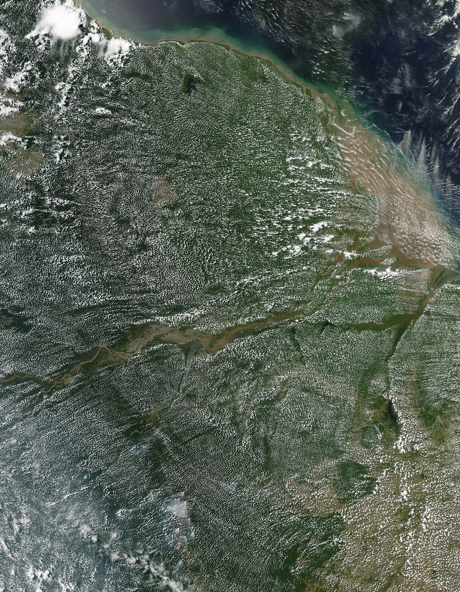 Het Amazoneregenwoud vanuit de lucht (archiefbeeld)