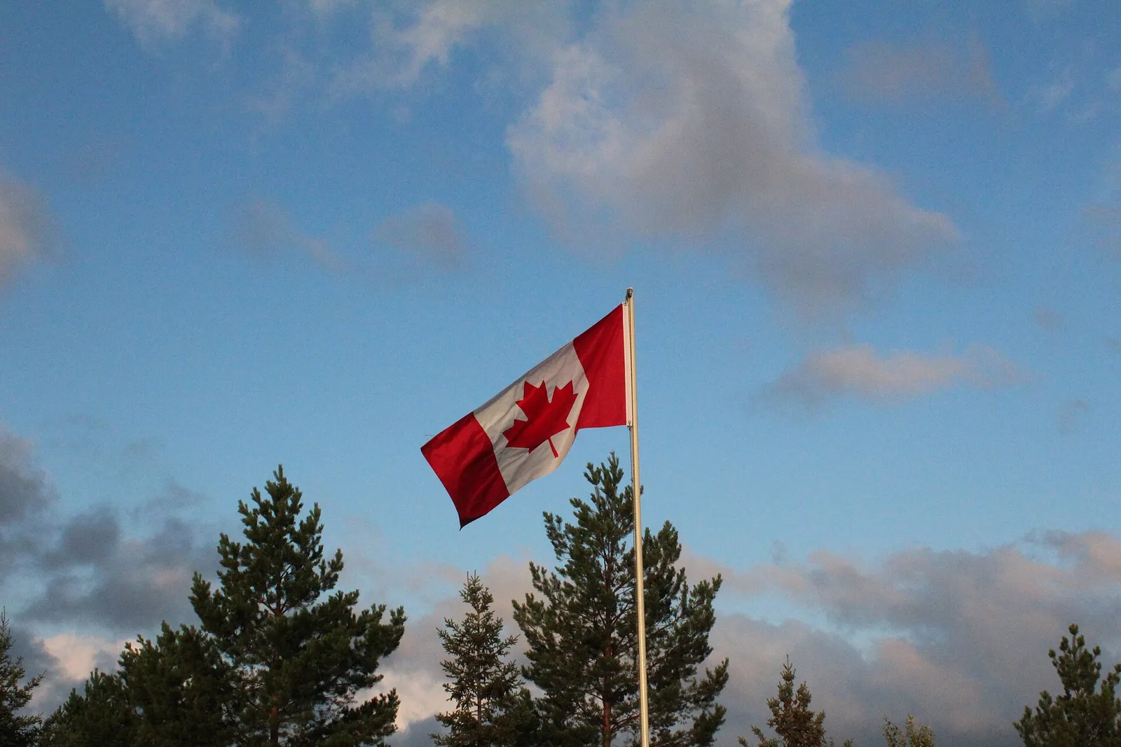 De vlag van Canada (ter illustratie)