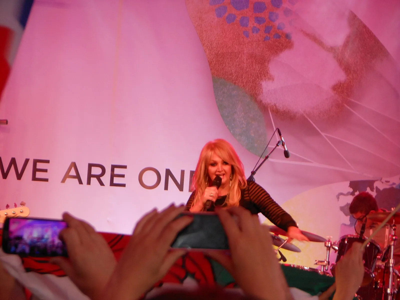 Bonnie Tyler tijdens een optreden in 2013 (archiefbeeld)
