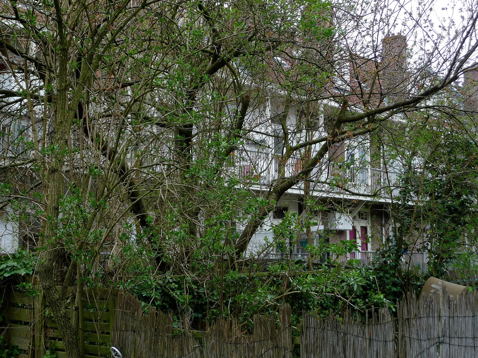 Woningen met tuinen en balkons in Amsterdam-Oost (archiefbeeld, ter illustratie)