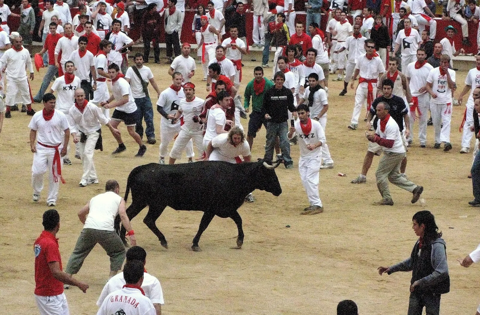 Het stierenrennen tijdens San Fermín in Pamplona