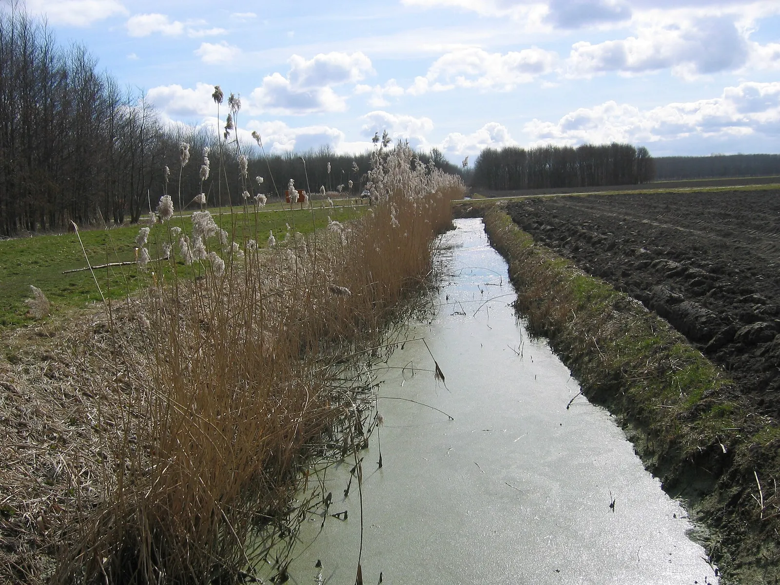 Een Nederlands polderlandschap met sloten en weiland