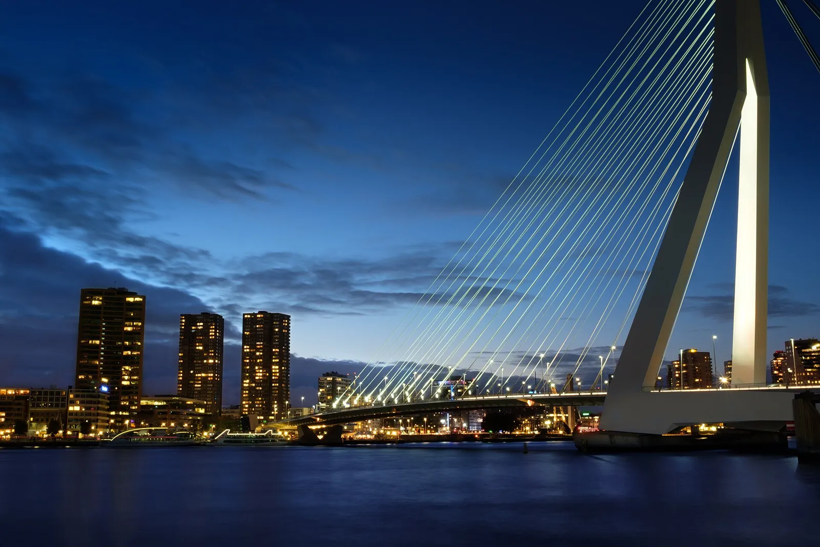 De Erasmusbrug en de skyline van Rotterdam