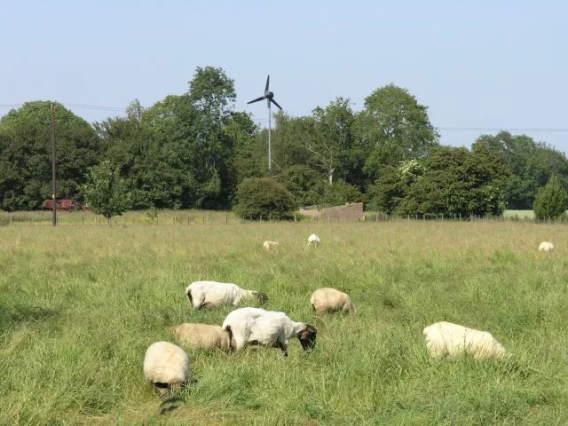 Een windturbine in een landschap (ter illustratie)