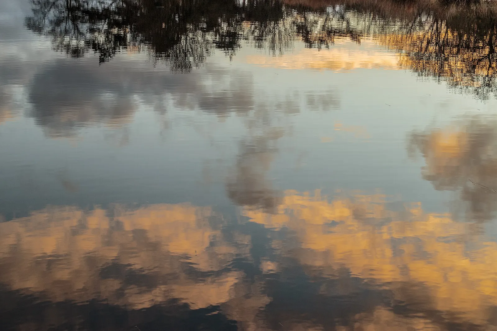 Stil water in een natuurgebied (ter illustratie)