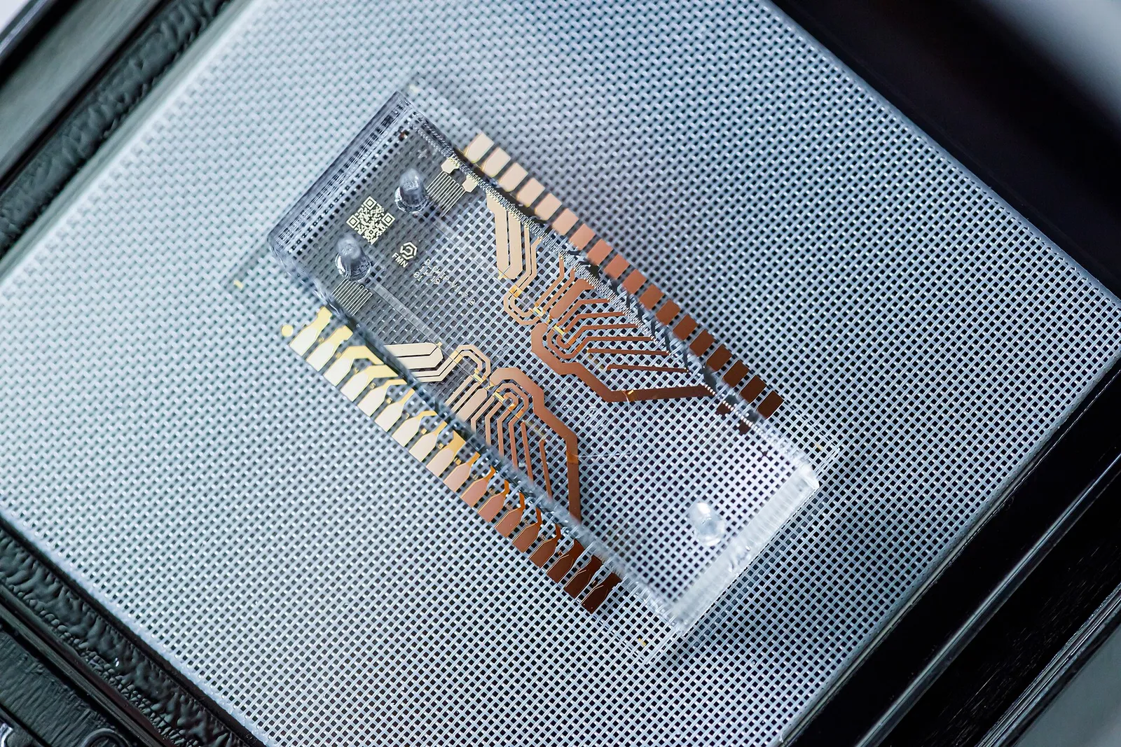 Een microfluïdische chip (ter illustratie)