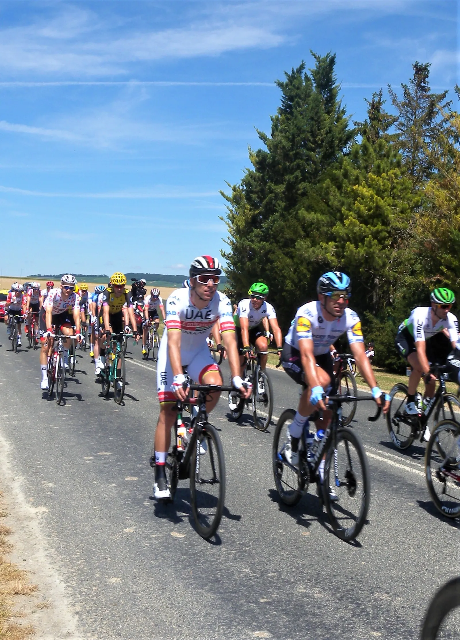 Het peloton in de Tour de France (archiefbeeld)