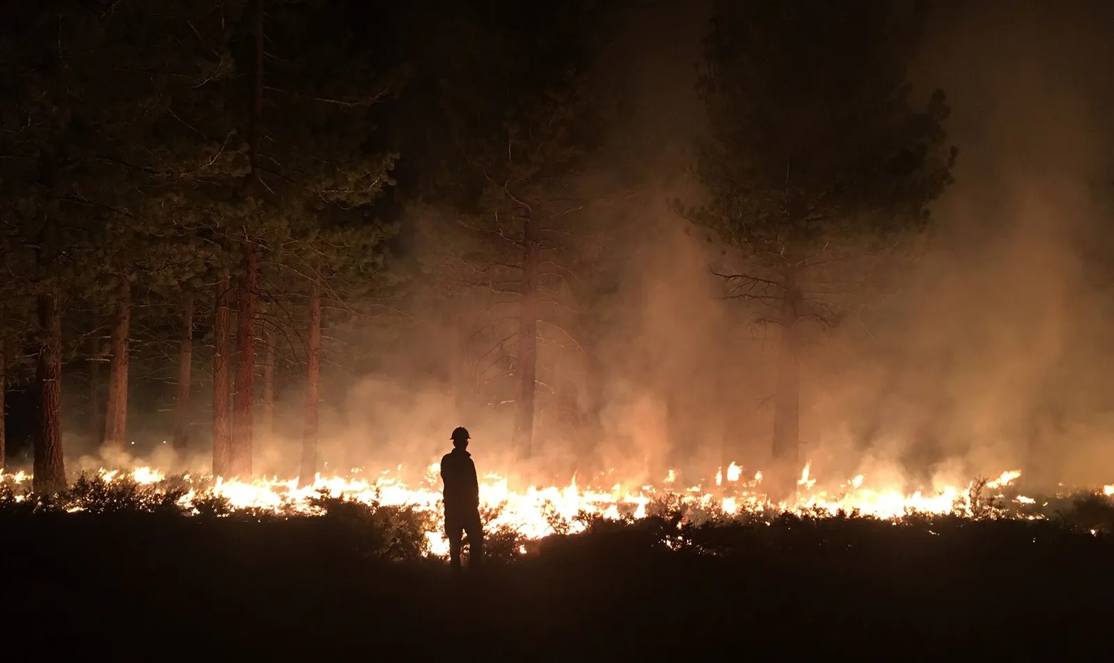 Vlammen bij een bosbrand (archiefbeeld, ter illustratie)