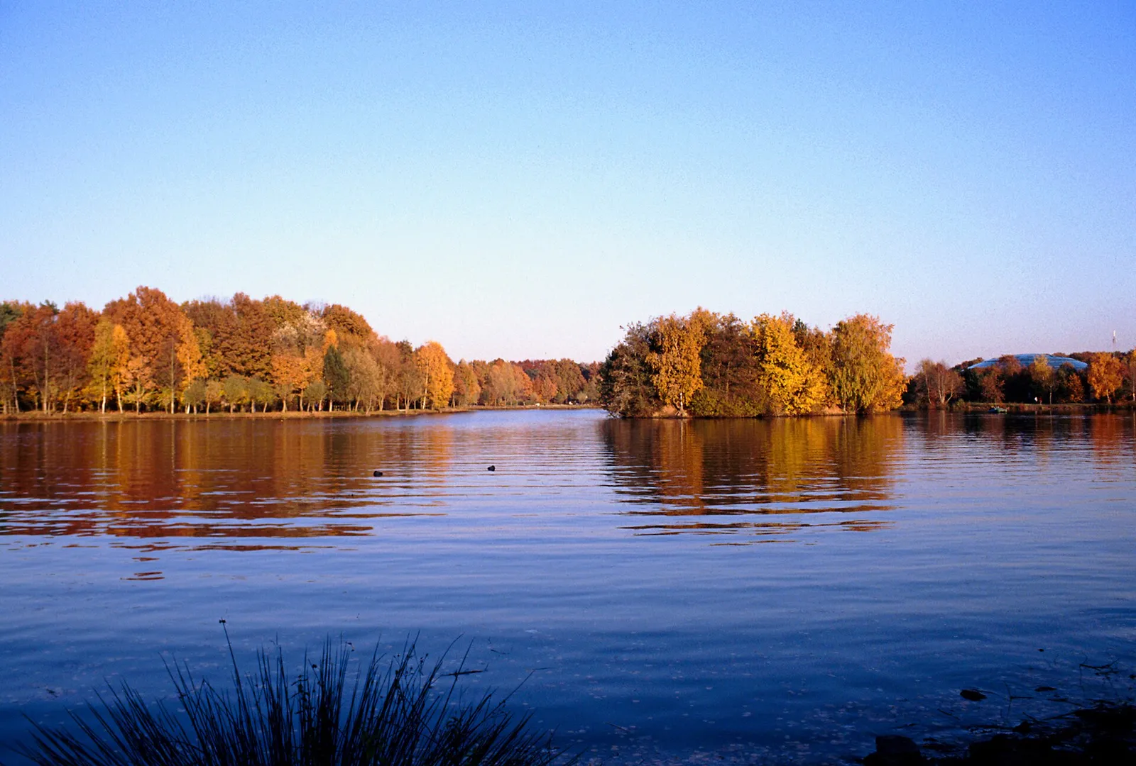 Center Parcs Het Heijderbos in Nederland (archiefbeeld)
