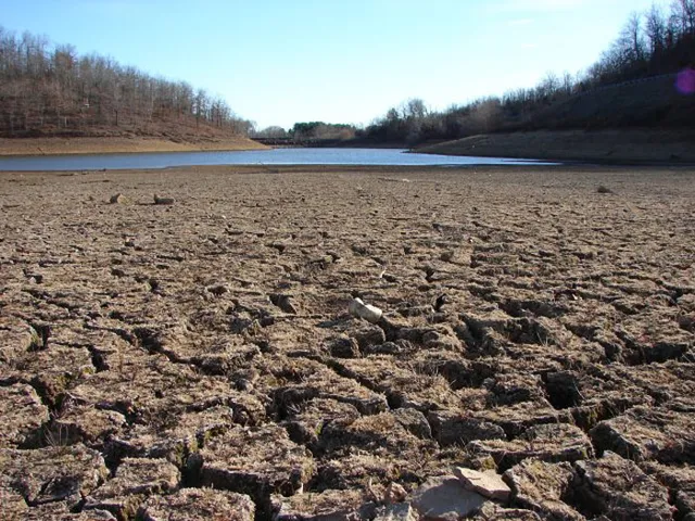 Een uitgedroogd, gebarsten meerbed tijdens aanhoudende droogte en hitte (ter illustratie)