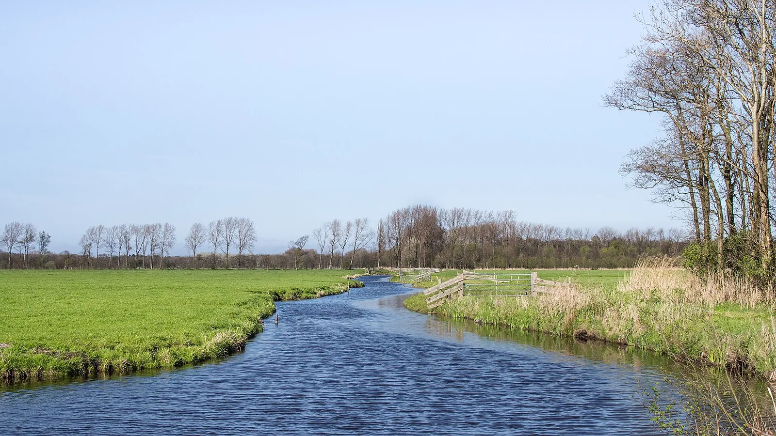 Nederlands polderlandschap met sloten (archiefbeeld)