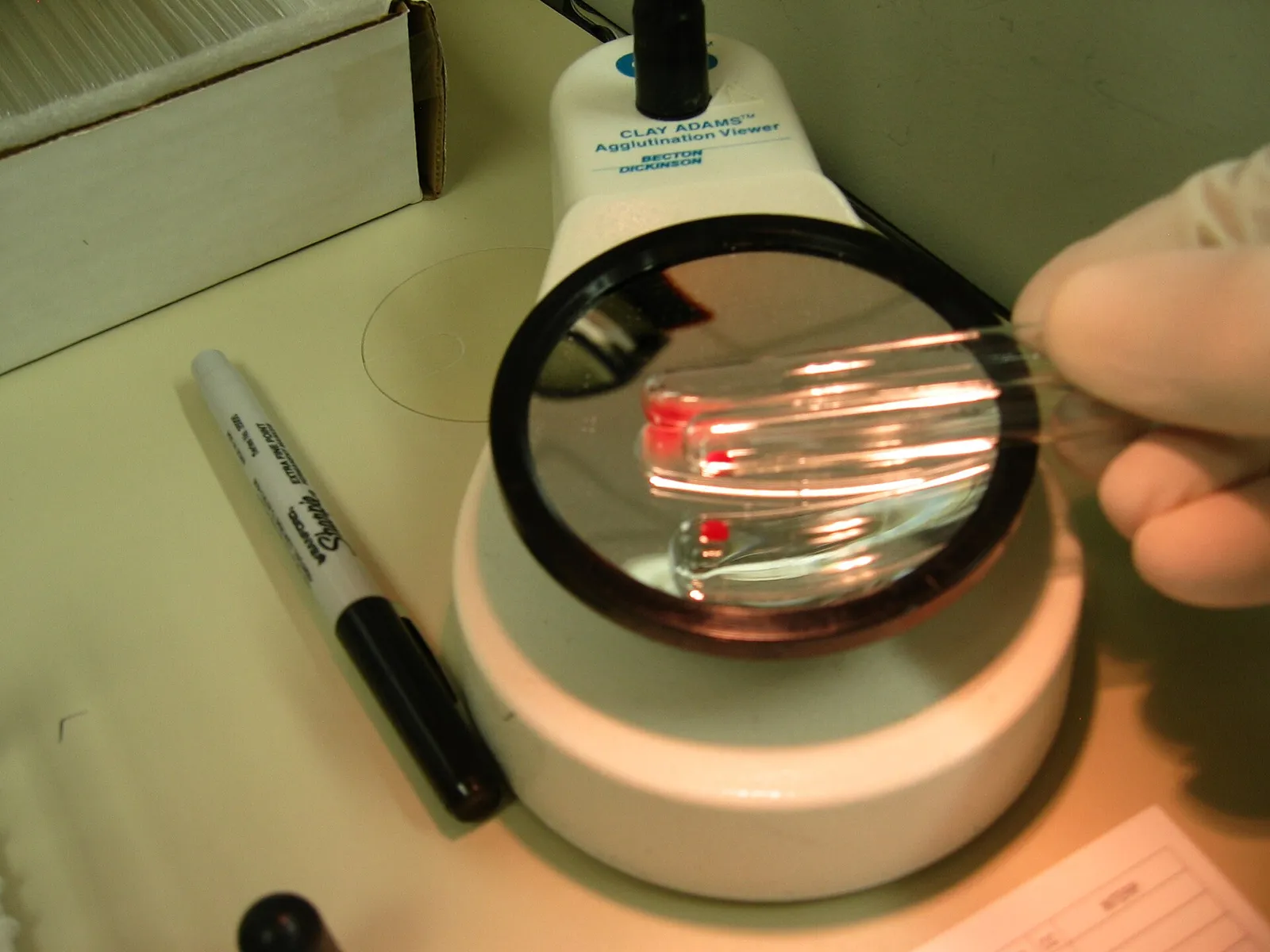 Bloedbuisjes in een laboratorium (ter illustratie)