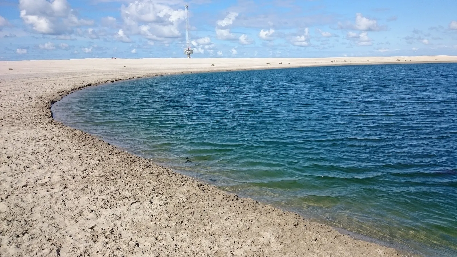 Zwemmers in open water op een warme dag (archiefbeeld)