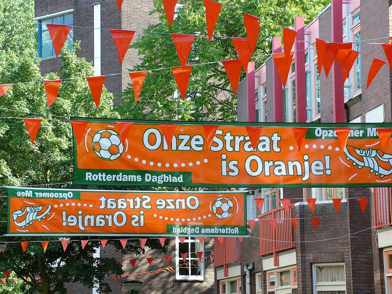 Oranjefans tijdens een interland